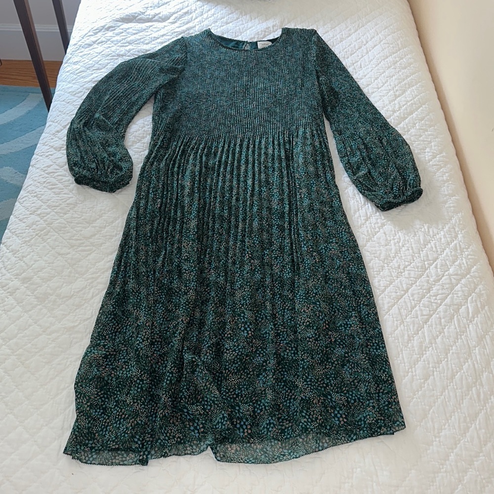 Long Aritzia Pleated Dress